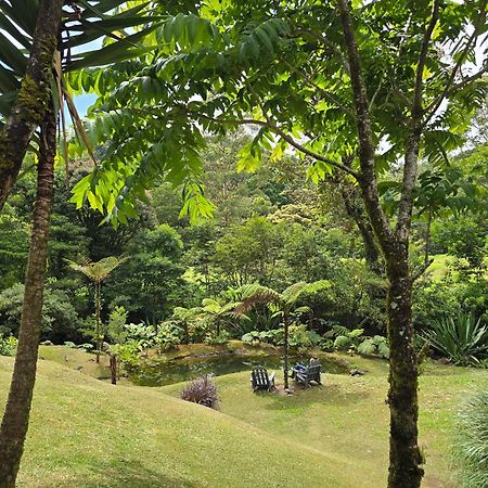 Monteverde Casa Mia, Near Main Attractions And Town! 외부 사진