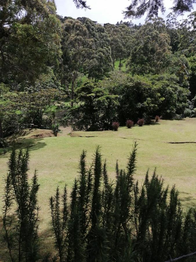 Monteverde Casa Mia, Near Main Attractions And Town! 외부 사진