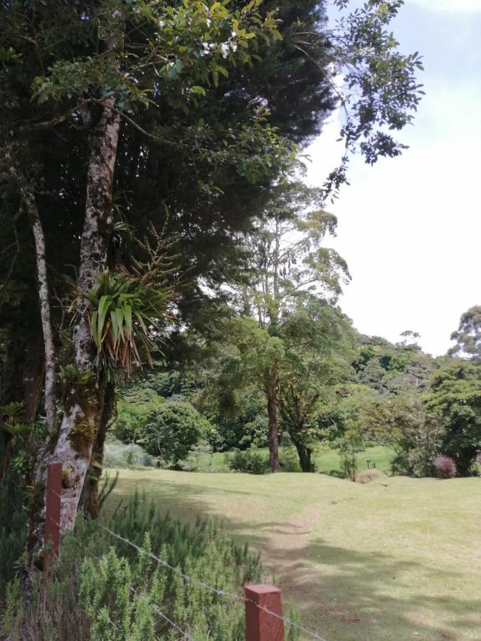 Monteverde Casa Mia, Near Main Attractions And Town! 외부 사진