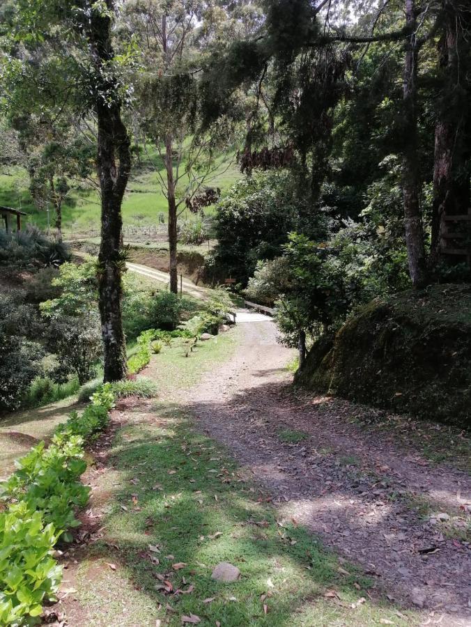 Monteverde Casa Mia, Near Main Attractions And Town! 외부 사진