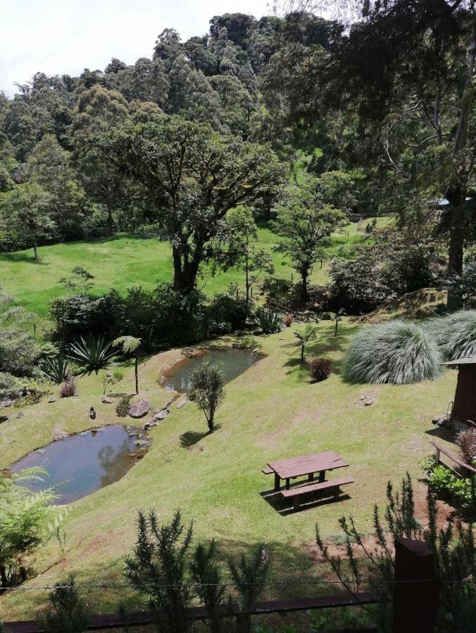 Monteverde Casa Mia, Near Main Attractions And Town! 외부 사진
