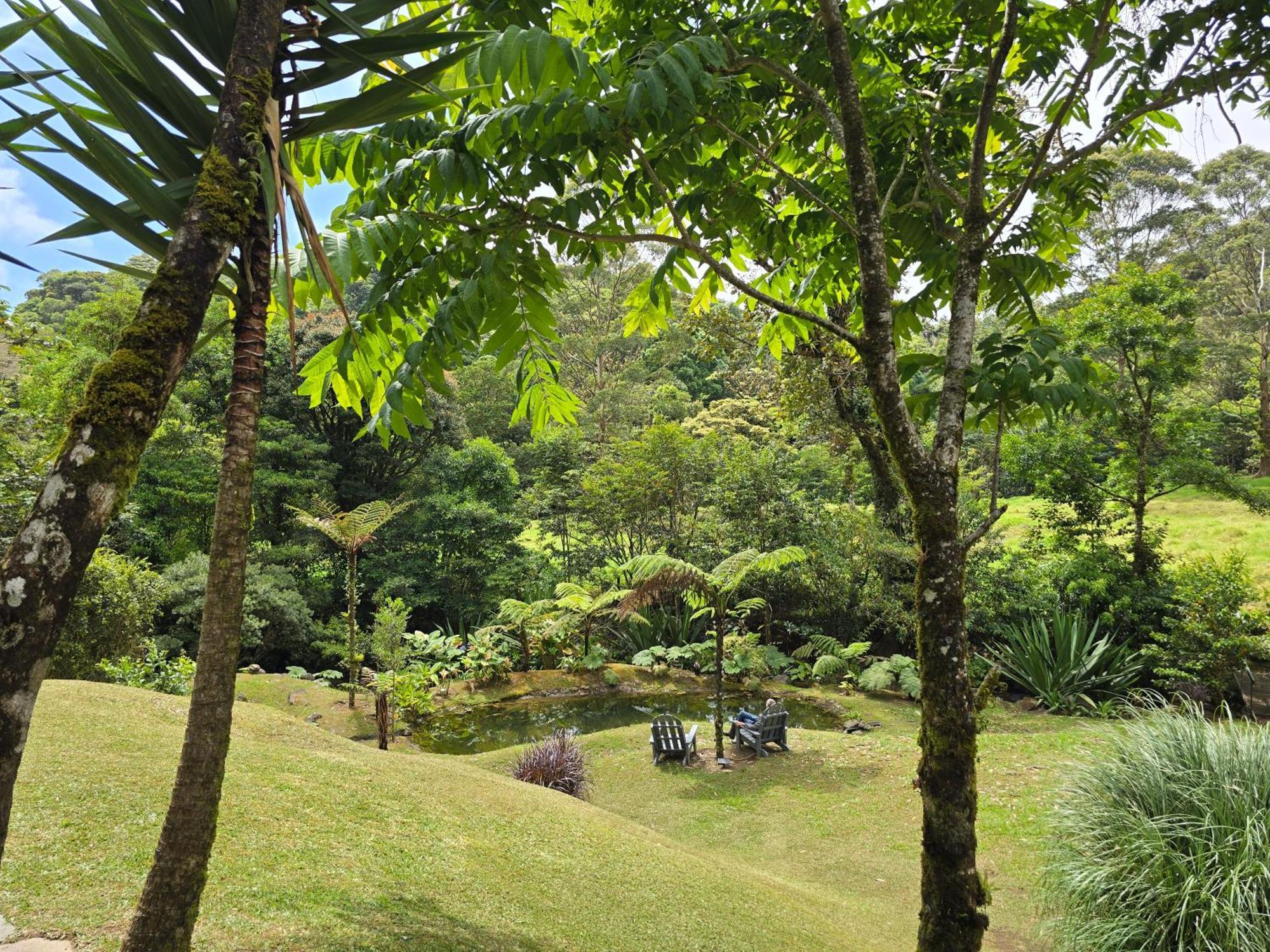 Monteverde Casa Mia, Near Main Attractions And Town! 외부 사진