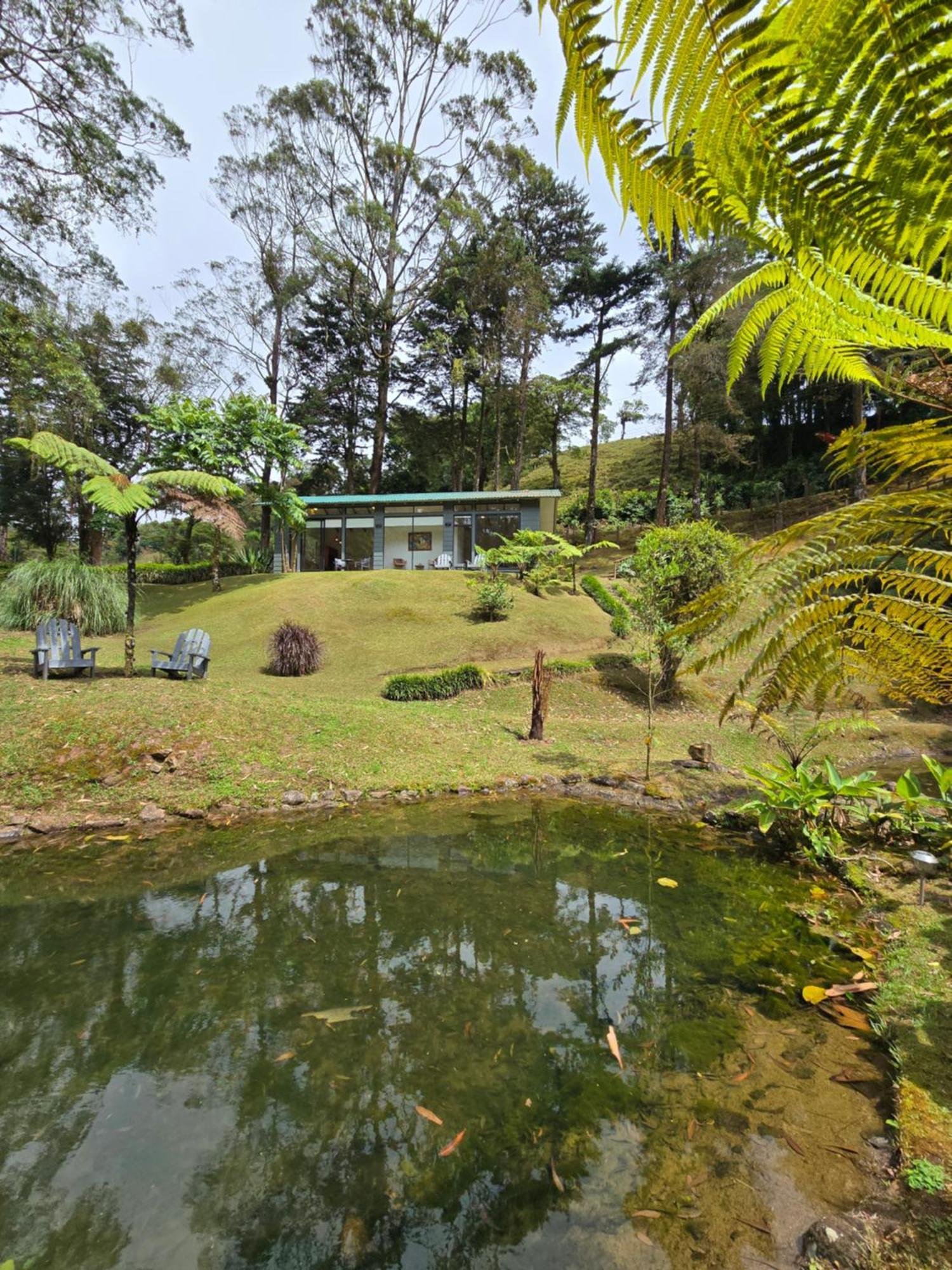 Monteverde Casa Mia, Near Main Attractions And Town! 외부 사진