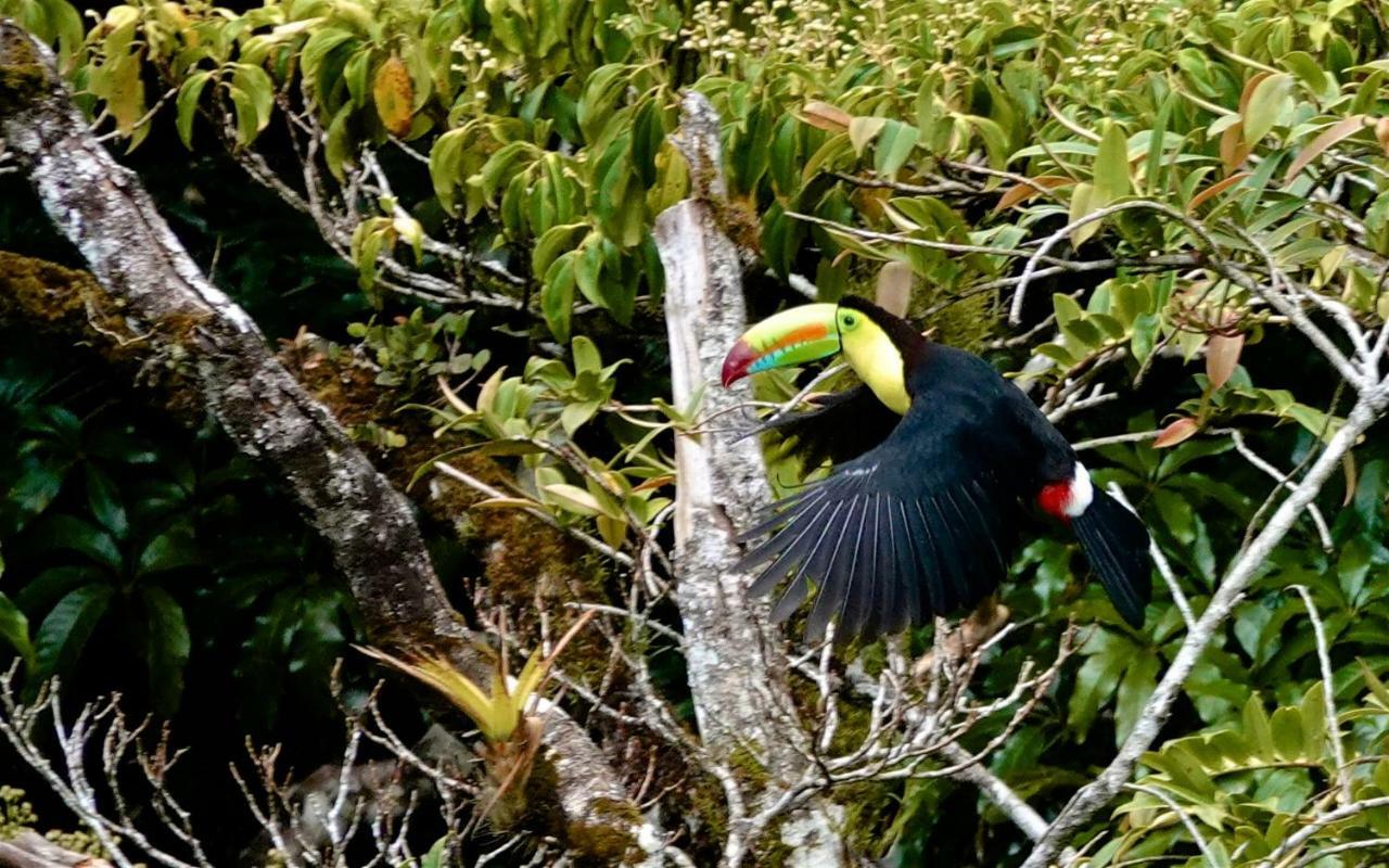 Monteverde Casa Mia, Near Main Attractions And Town! 외부 사진