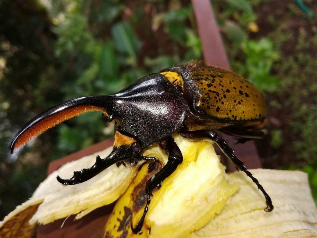 Monteverde Casa Mia, Near Main Attractions And Town! 외부 사진