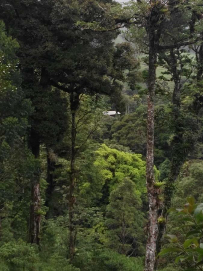 Monteverde Casa Mia, Near Main Attractions And Town! 외부 사진