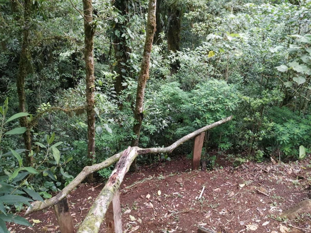 Monteverde Casa Mia, Near Main Attractions And Town! 외부 사진