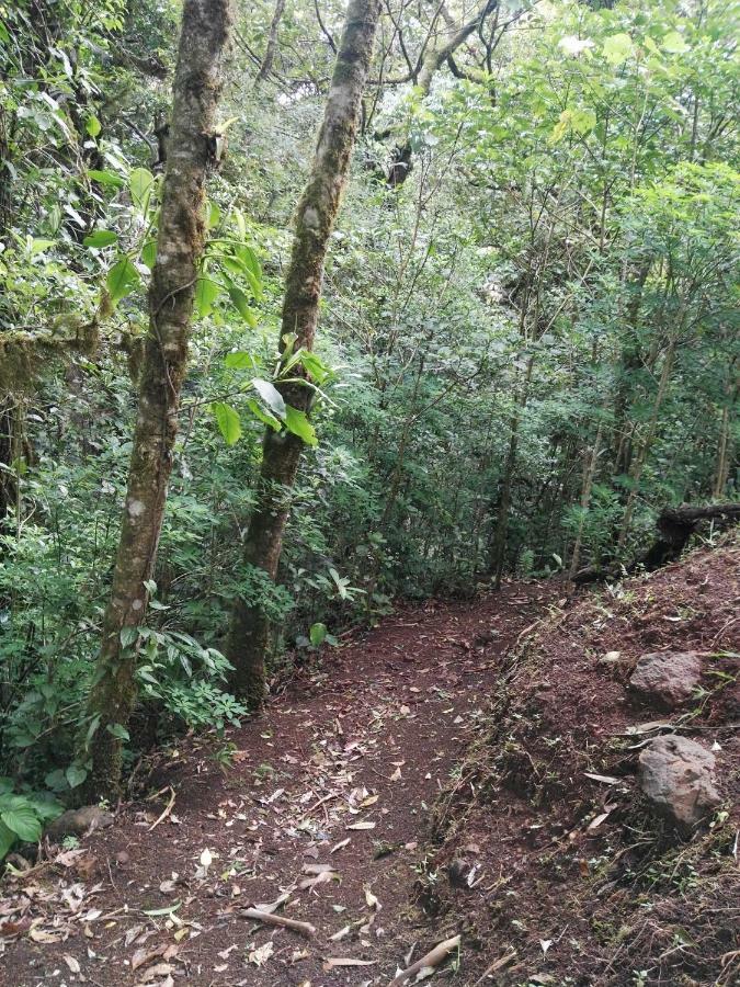 Monteverde Casa Mia, Near Main Attractions And Town! 외부 사진